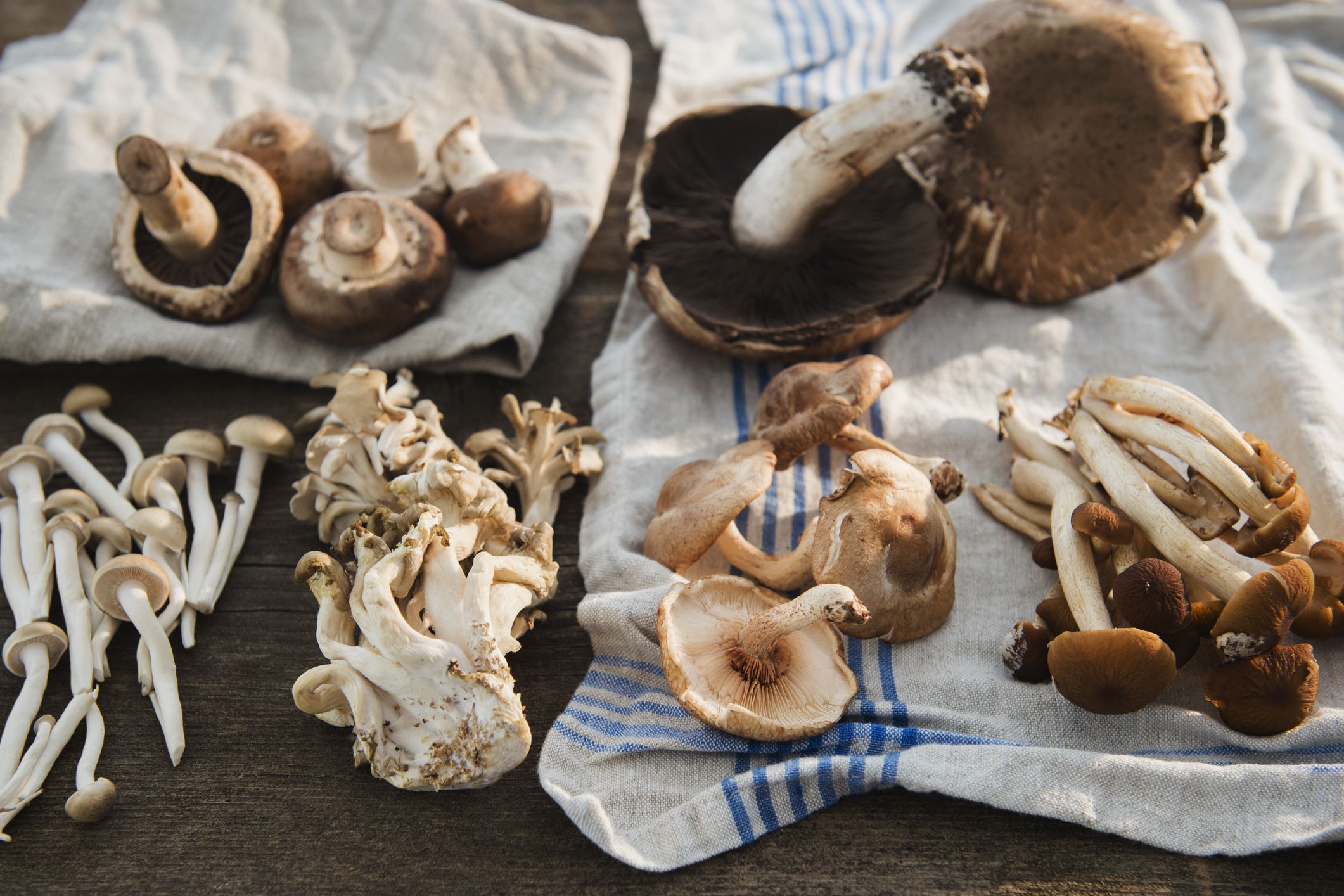 Eating Mushrooms is Linked to a Lower Risk of  Cancer